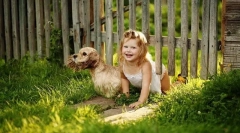 A gyermek megkérdezi a kutyát: ha érdemes azt mondani, hogy igen és milyen fajta választani